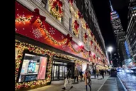 New York City Christmas Lights Rickshaw Tour thumbnail 5