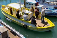 San Francisco Golden Gate Bay Historic Boat Tour 1.5 hr thumbnail 3