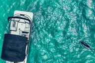 Clearwater Beach Private Pontoon Tour thumbnail 6