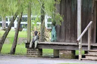 New Orleans Whitney Plantation Tour with Pickup thumbnail 3