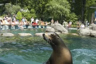 New York Central Park Zoo and Manhattan Walking Tour thumbnail 1