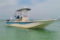 Panama City Eco Dolphin Tour thumbnail 3