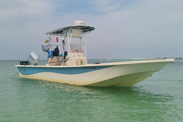 Panama City Eco Dolphin Tour - Image 3