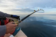 New York Montauk Helicopter Fishing Adventure thumbnail 3