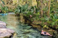 Orlando Everglades Airboat Tour with Pickup thumbnail 1