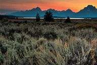 Jackson Wildlife Safari at Sunset thumbnail 6