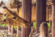 New York Central Park Zoo Tour with Private Transfers thumbnail 5