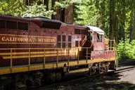 Mendocino Skunk Train Wolf Tree Turn Ride thumbnail 6