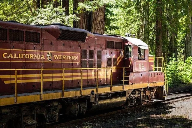 Mendocino Skunk Train Wolf Tree Turn Ride - Image 6
