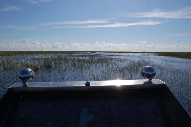 Florida Everglades Airboat Ride - Image 3