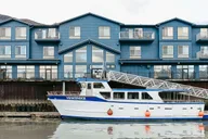 Seward Kenai Fjords Glacier & Wildlife Cruise 6 hr thumbnail 5