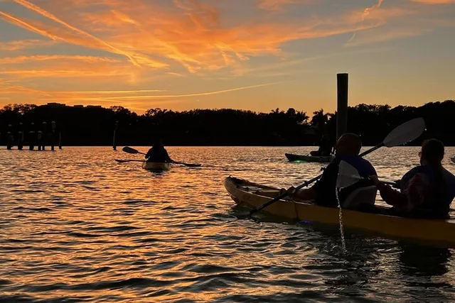 Sarasota Glass Bottom Kayak LED Night Tour - Image 6