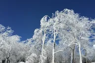 Niagara Falls Winter Wonderland Tour thumbnail 5