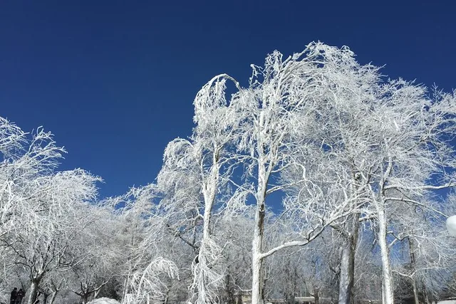 Niagara Falls Winter Wonderland Tour - Image 5
