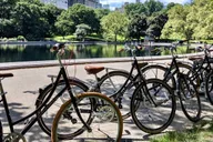 New York Central Park Bike Tour thumbnail 6