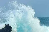 Kona Hamakua Coast Day Trip thumbnail 3
