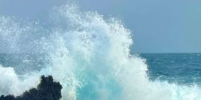 Kona Hamakua Coast Day Trip - Image 3