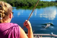 Cocoa Beach Dolphin Sightseeing Tour 2 hr thumbnail 6