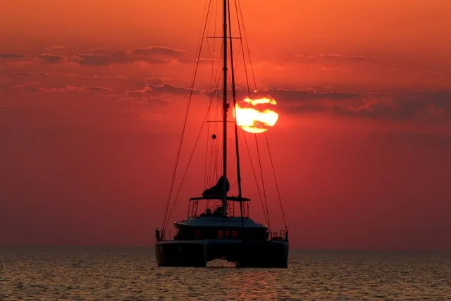Key West Dolphin Watching and Snorkeling Cruise - Image 4