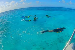 Key Largo Snorkeling Tour to John Pennekamp Coral Reef
