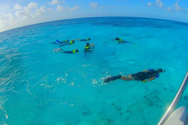 Key Largo Snorkeling Tour to John Pennekamp Coral Reef - Image 1