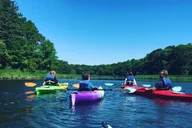 Cape Cod Kayak Nature Tour thumbnail 2