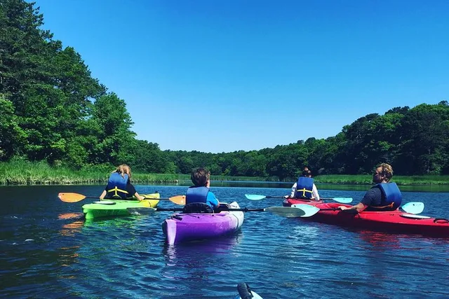 Cape Cod Kayak Nature Tour - Image 2