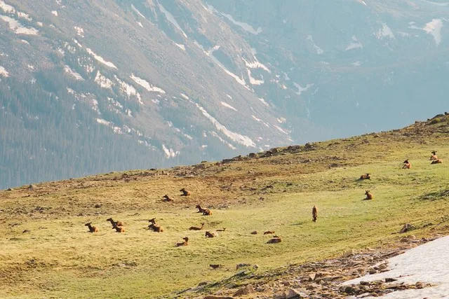Estes Park Rocky Mountain National Park Driving Tour - Image 5