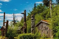Ketchikan Eagle Sanctuary and Rainforest Tour thumbnail 6