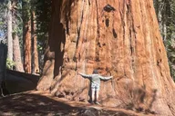 Fresno Sequoia National Park Tour with Lunch thumbnail 2