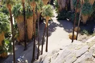 Palm Springs Indian Canyons Jeep and Hiking Tour thumbnail 6