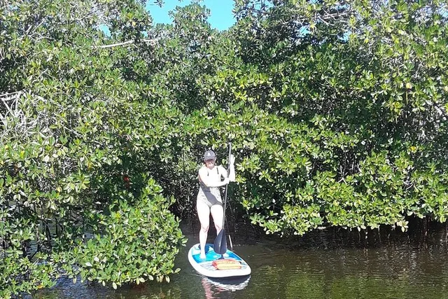 Naples Paddleboard Mangrove Forest Tour 90 min - Image 5