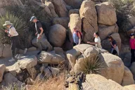 Joshua Tree National Park Sightseeing Tour thumbnail 3