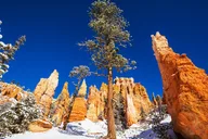 Bryce Canyon Self-Guided Audio Driving Tour thumbnail 5