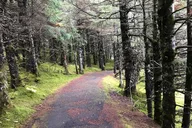 Anchorage Gold Panning Self-Guided Tour thumbnail 5