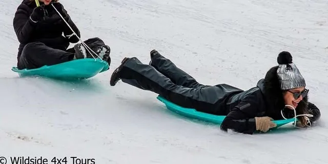 Estes Park Winter Wonderland Sledding Tour - Image 5