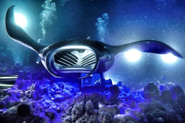 Kona Manta Snorkel at Sunset 90 min - Image 2