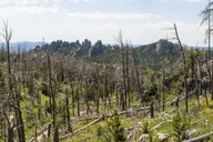 Rapid City Custer State Park & Mt Rushmore Tour thumbnail 3