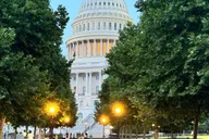 Washington DC Nighttime Sightseeing Tour thumbnail 6