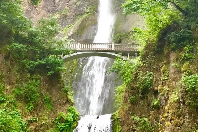 Portland Columbia River Gorge & Waterfalls Tour - Image 2