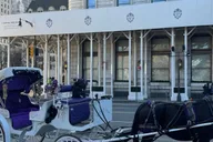 New York City Central Park Horse Carriage Ride thumbnail 5