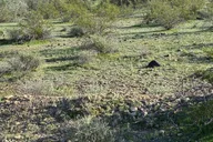 Phoenix Mountain Bike Adventure in Sonoran Desert thumbnail 4