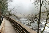 Seattle Waterfalls and Rainforest Hike 4 hr thumbnail 6