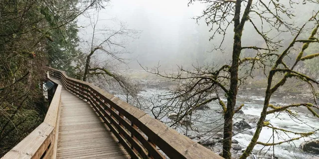 Seattle Waterfalls and Rainforest Hike 4 hr - Image 6
