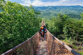 Gatlinburg Zipline Adventure 2 hr