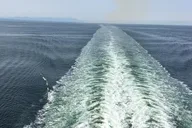 Seattle Olympic National Park Van/Ferry Tour thumbnail 5
