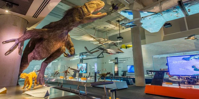 Miami Frost Science Museum and Planetarium Ticket - Image 3