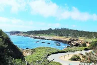 Point Lobos Self-Guided App Tour thumbnail 2