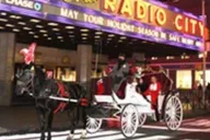 New York City Central Park Horse Carriage Ride 45 Min thumbnail 6