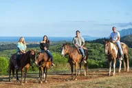 Kahuku Horseback Ride in Hawaiian Countryside 90 Min thumbnail 2